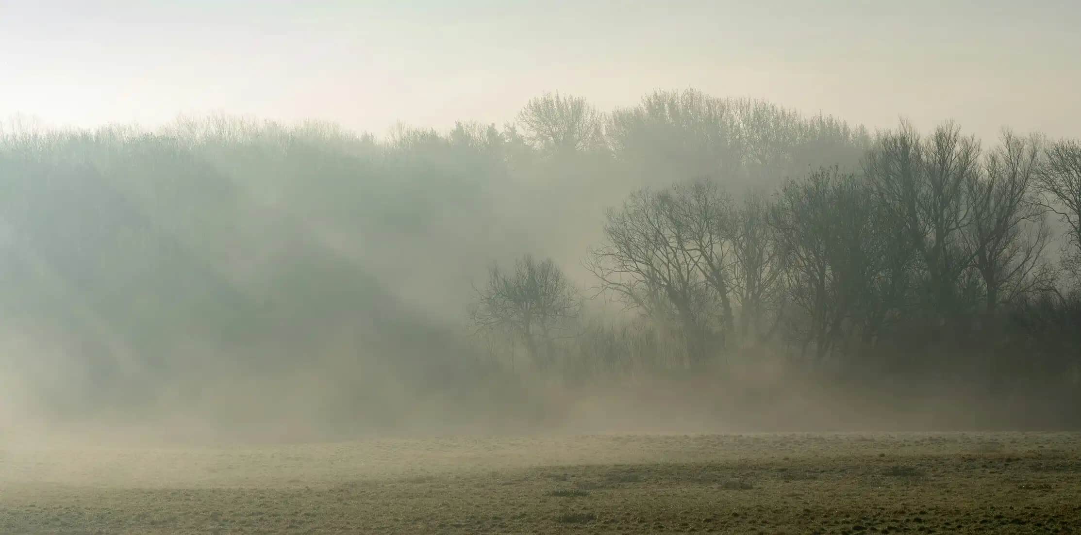 Misty English countryside at dawn, reminiscent of the world of Pride and Prejudice