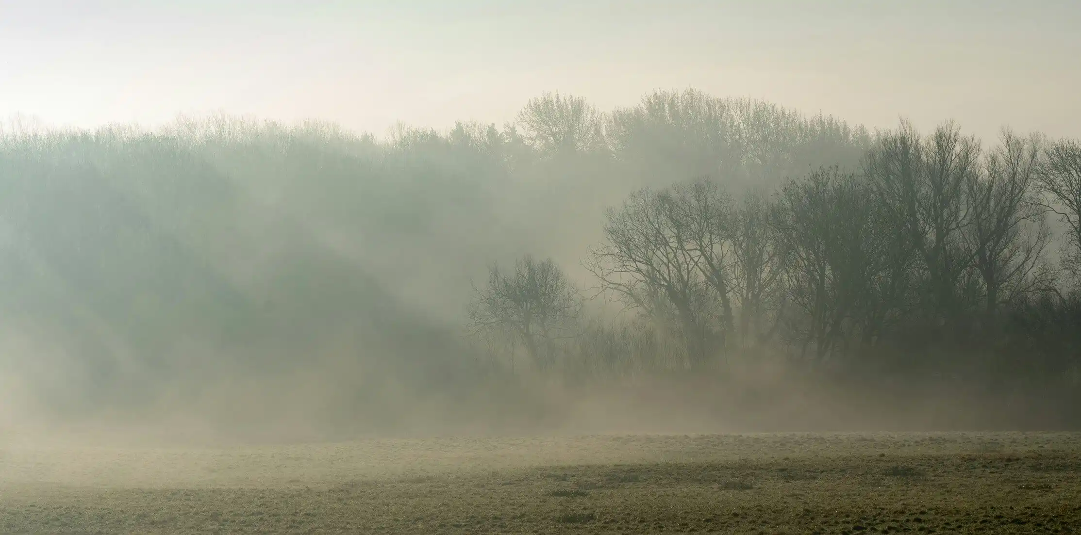Misty English countryside at dawn, reminiscent of the world of Pride and Prejudice